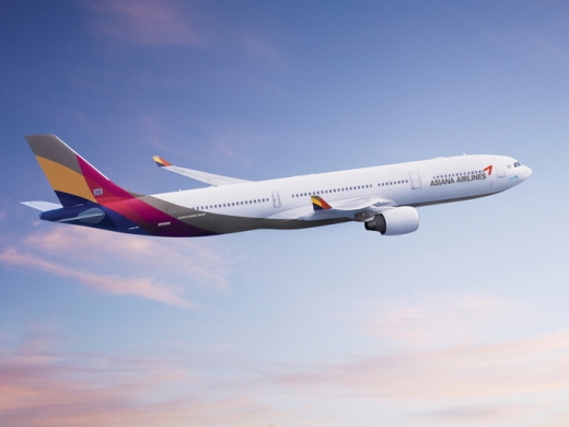아시아나 항공 사례